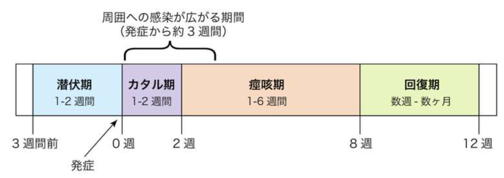 スクリーンショット (55)