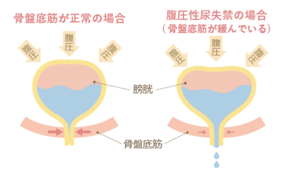 スクリーンショット (97)